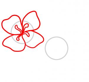 How to Draw Easy Flowers, Step by Step, Flowers, Pop Culture, FREE ...