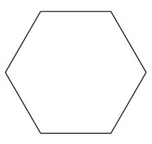 Large Flower Petal Template