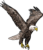 North Wilkesboro Elementary School - Homepage