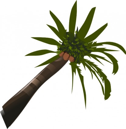 Palm Tree clip art Vector clip art - Free vector for free download
