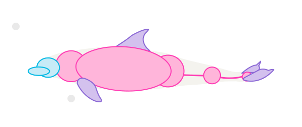 How to Draw Animals: Dolphins, Whales and Porpoises