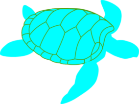 Penyu Kartun Clipart - Free to use Clip Art Resource