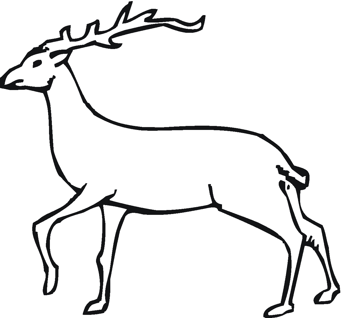 Free Deer Coloring Pages