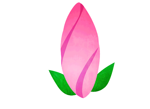 Transparent GIF Sticker - Find & Share on GIPHY