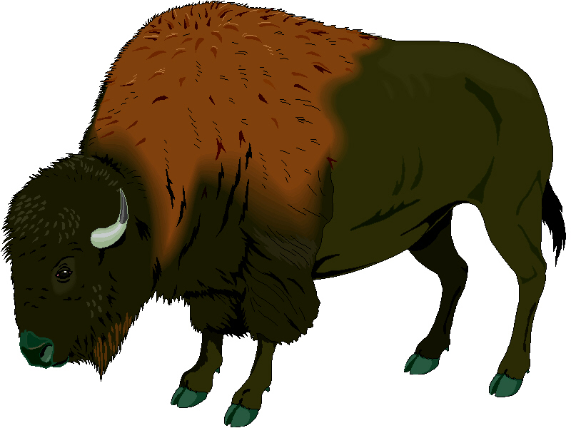 Buffalo Clip Art - Tumundografico