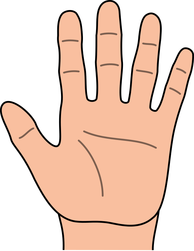 Cartoon Hands Clipart