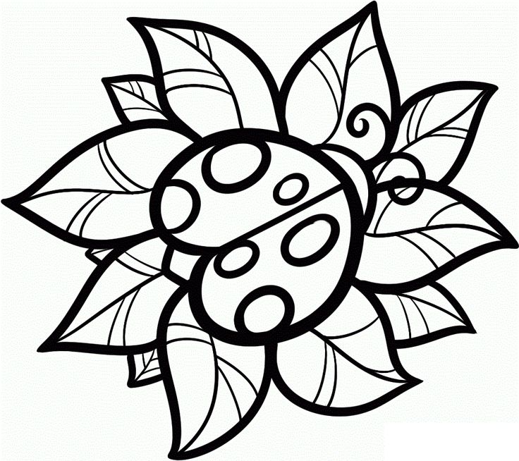 1000+ images about GirlsGala:Ladybug