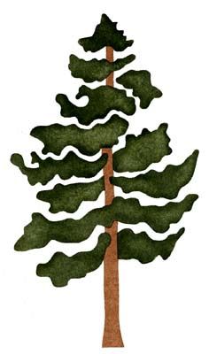 Pine Tree Art | Tree Art, Tree ...