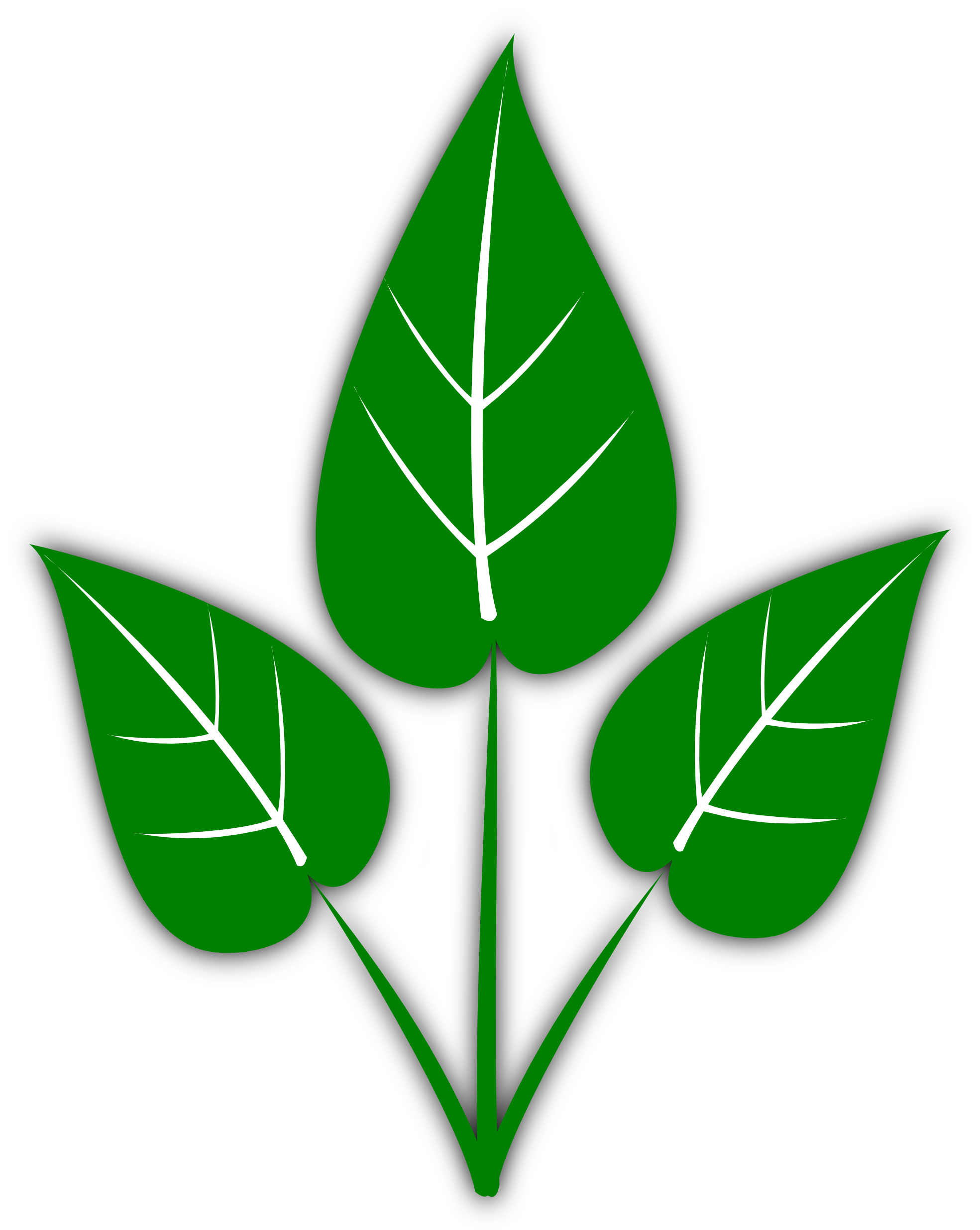 Green Leaves Clipart