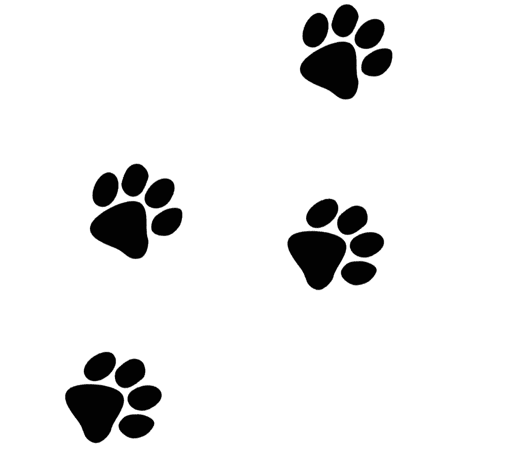 Paw Print Gif - ClipArt Best