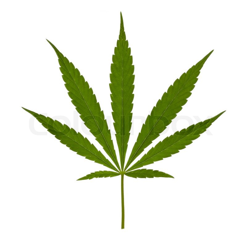 Pot leaf clipart no background