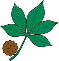 8+ Buckeye Leaf Clip Art