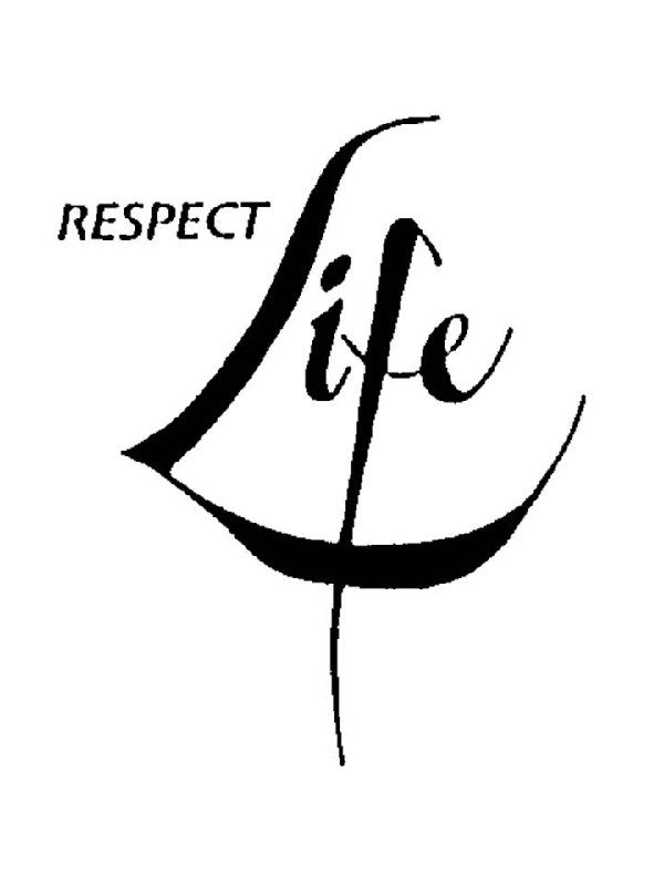 RESPECT LIFE Quotes Like Success