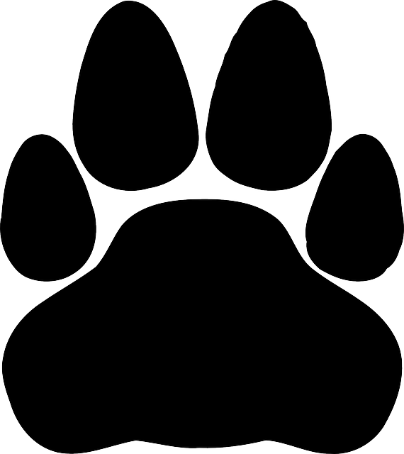 Free pictures PAW - 84 images found