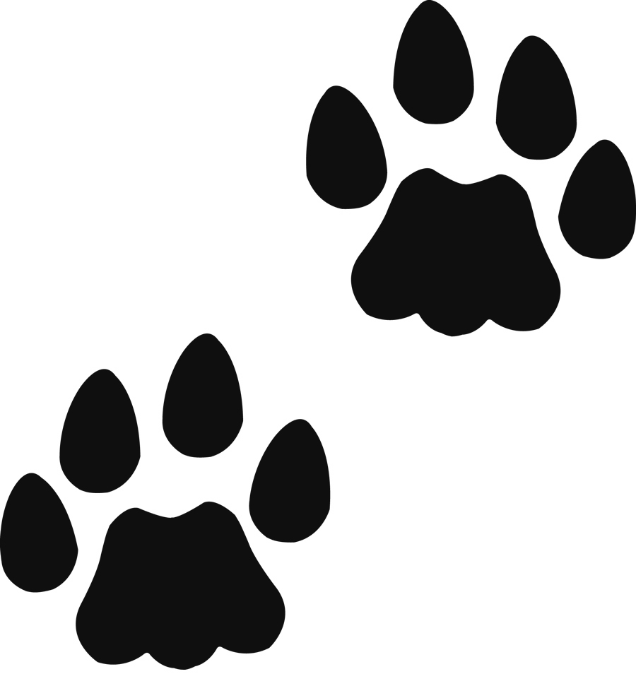 Teddy Bear Paw Print Clipart