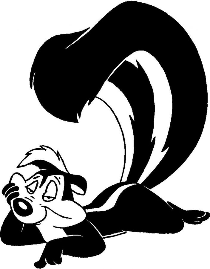 Skunks | Baby Skunks, Striped Skunk ...