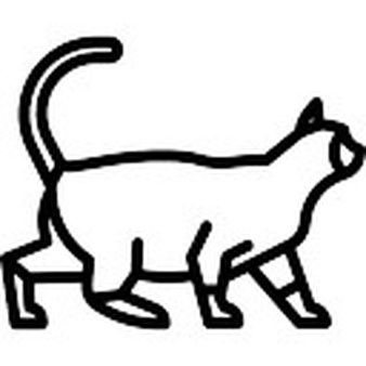 Siamese cat sealpoint Photo | Free Download