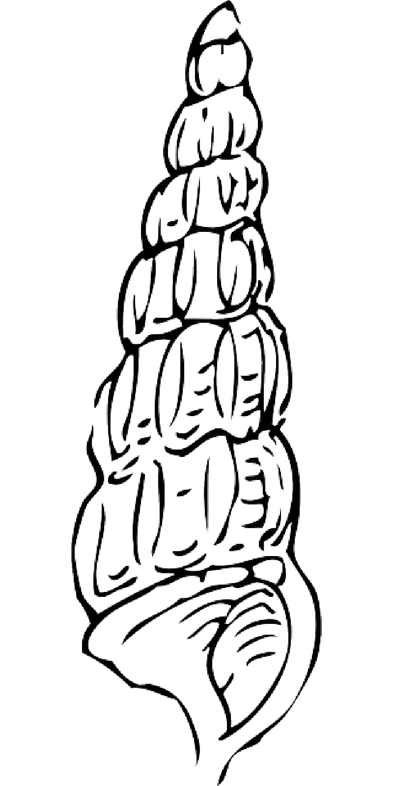WATER, OUTLINE, DRAWING, CARTOON, SNAIL, SHELL, SEA - Public ...