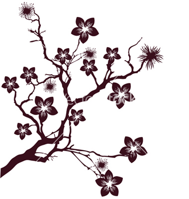 Cherry Blossom Microsoft Clipart