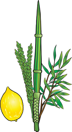 Citron Clip Art, Vector Images & Illustrations