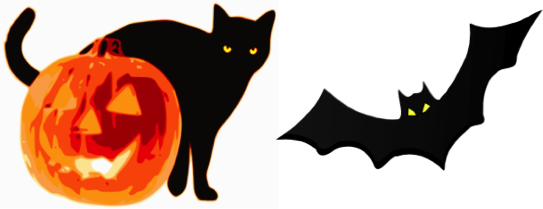 Whiskers & Wings | Sunflower Storytime