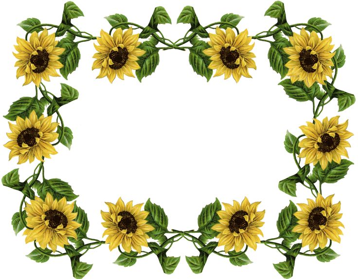 1000+ images about Border Designs