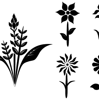 Free Floral Vectors | 123Freevectors