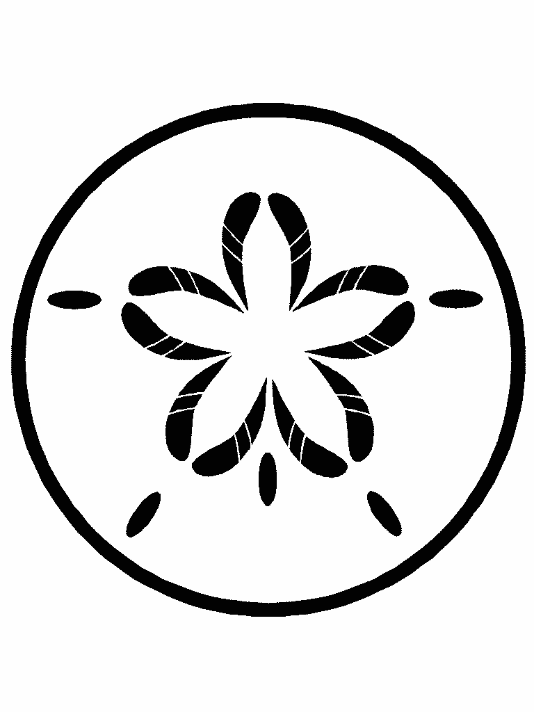 Sand Dollar Clipart