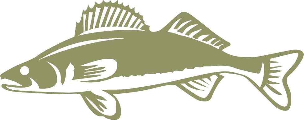 Walleye Wall Decal
