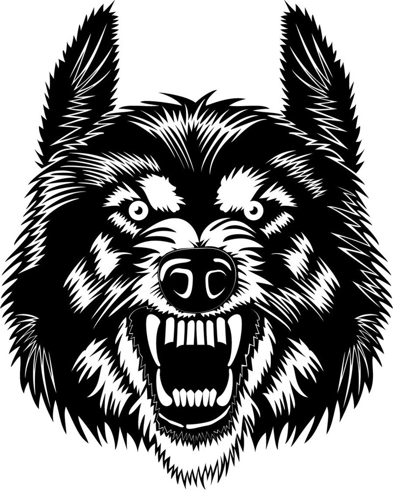 Wolf Head Vector