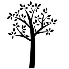 Trees, Africa and Signs