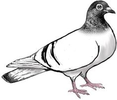 Clip art, Graphics and Art