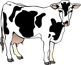 Free Cow Clipart