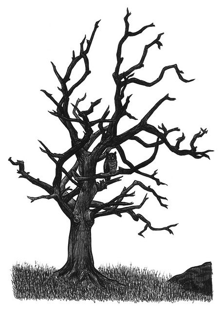1000+ images about "Dead Tree" Art