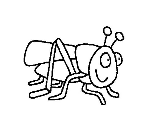 Grasshopper clipart black and white clipart