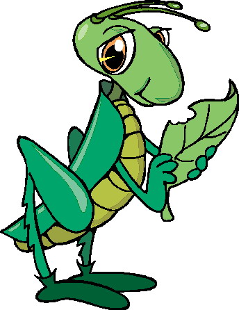 Grasshoppers Graphics And Animated Gifs