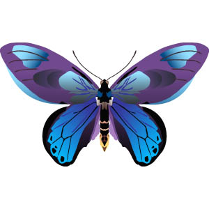 Clip Art Butterfly