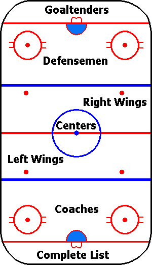hockey rink history the carpet origins art and history