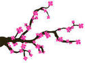 card-with-stylized-cherry_ ...