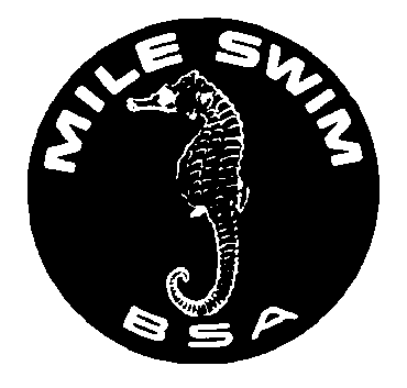 My Scouting Web Pages: Original BSA Clipart Images