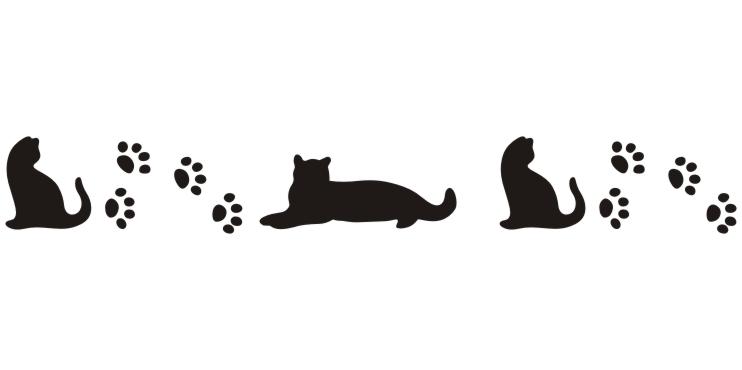 Few Steps From Home Animal Rescue ~ Bay City, Michigan