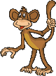 monkey-gif.gif