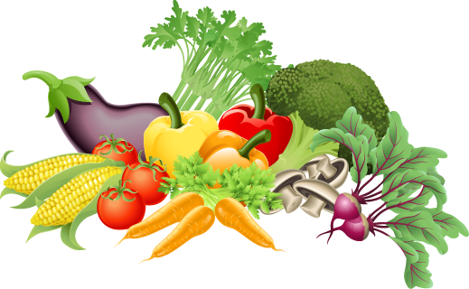 Fresh Vegetables