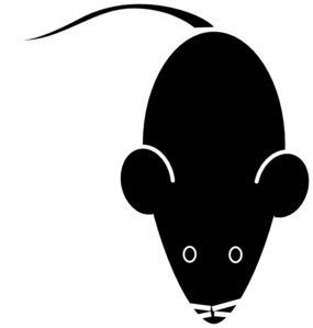 Lab Mouse Clip Art - photogram