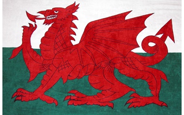 St Davids Flag 5' x 3'