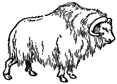 Ox clipart black and white - ClipartFox