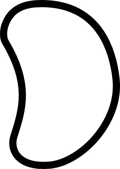 Bean Seed Clipart