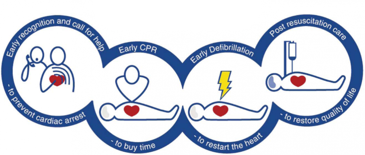What is the Chain of Survival? – First aid for free