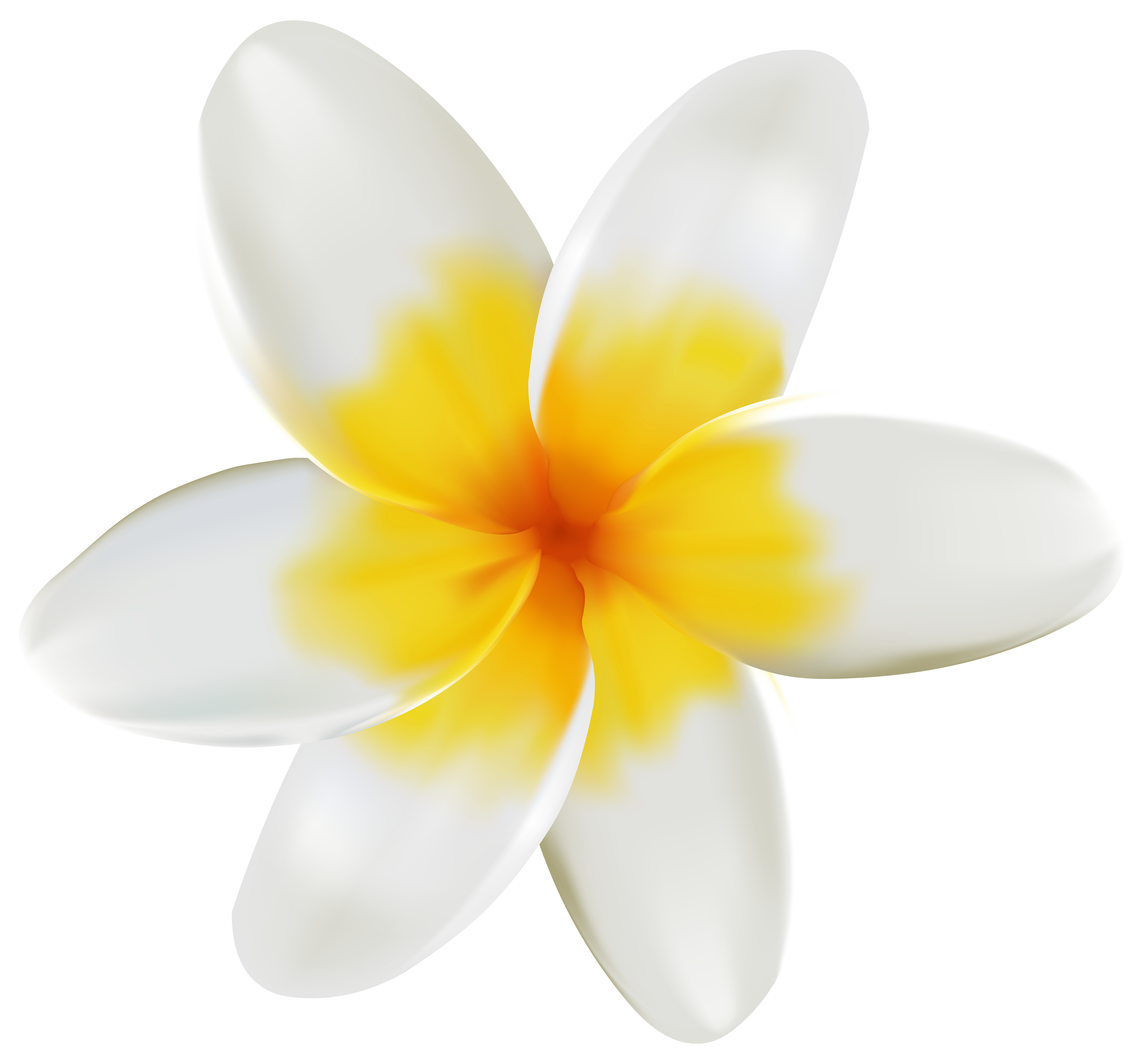 Plumeria Flower Clip Art – Clipart Free Download
