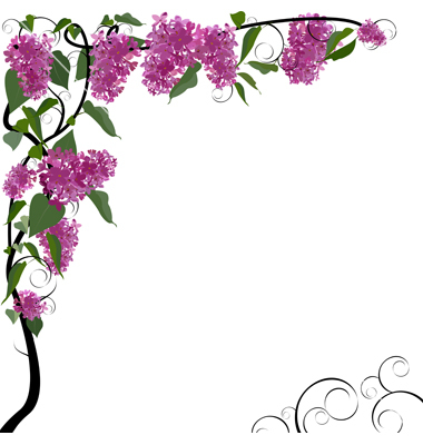 Floral Border Clipart - Tumundografico